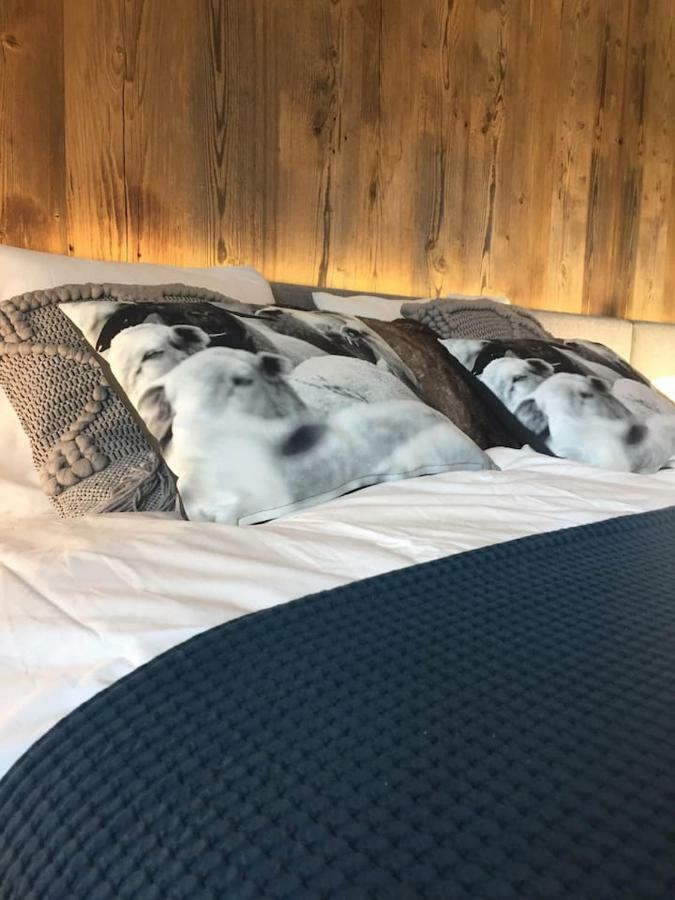 Apartament Wierchy ザコパネ エクステリア 写真